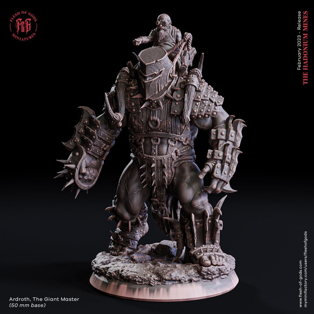 Ardroth, The Giant Master  by Flesh of Gods | High Quality 3D Print | Tabletop RPG Miniature Figures