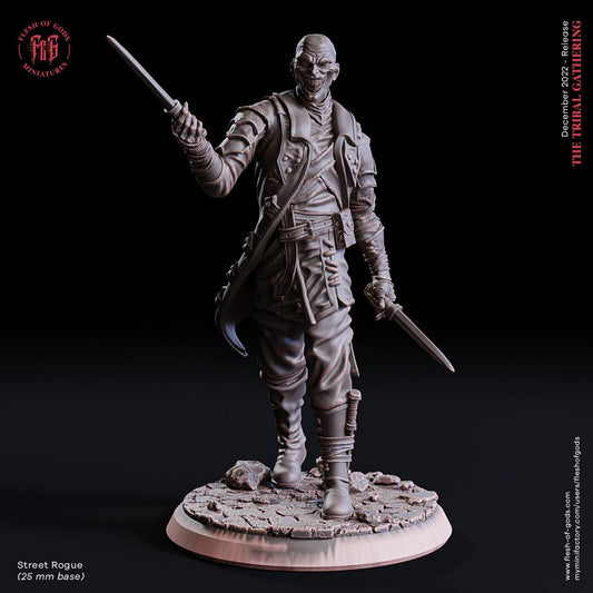 Street Rogue the Rogue by Flesh of Gods | High Quality 3D Print | Tabletop RPG Miniature Figures